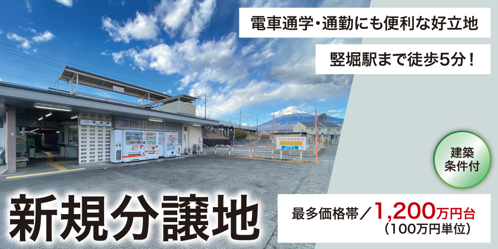 新規分譲地、竪堀駅